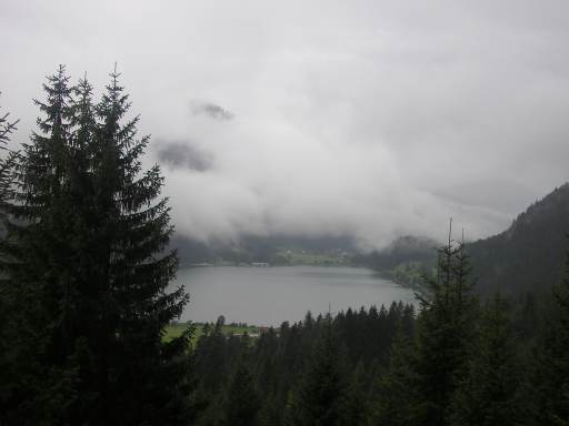 Blick auf den Haldensee