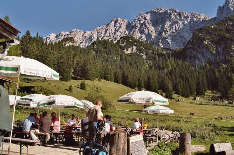 Blick auf den Scheffauer